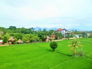 un campo de césped verde con casas en el fondo en Nuriani Rooms, en Ubud