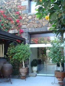 Zahrada ubytování Villa VIK - Hotel Boutique