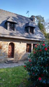 une maison en pierre avec un bush fleuri devant elle dans l'établissement Bois de Kador, à Morgat