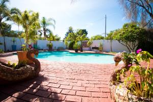 a swimming pool with two swans in a yard at The Shamrock Hotel in Polokwane