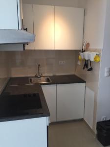 Kuchyň nebo kuchyňský kout v ubytování Apartments Ema