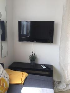TV a/nebo společenská místnost v ubytování Apartments Ema