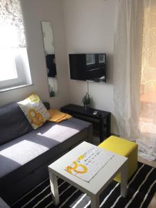 TV a/nebo společenská místnost v ubytování Apartments Ema