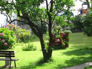Ein Garten an der Unterkunft Hotel Marina