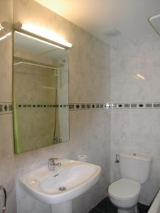 a bathroom with a sink and a toilet and a mirror at Gabarre in Broto