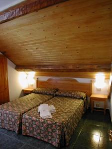 a bedroom with a bed with two tables and a ceiling at Gabarre in Broto