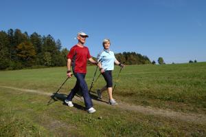 dos personas caminan en un campo con postes en Hotel Dreisonnenberg, en Neuschönau