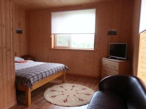 ハミシュキにあるLegenda Gorのベッドルーム(ベッド1台、テレビ、窓付)