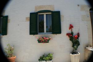 uma janela com persianas verdes numa parede com vasos de plantas em Casolare Capitolo em Cisternino