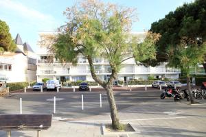 a tree in the middle of a parking lot at Cabane l'hiver in Arcachon