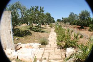 un sentiero di pietra in un campo vicino a una recinzione di Casolare Capitolo a Cisternino