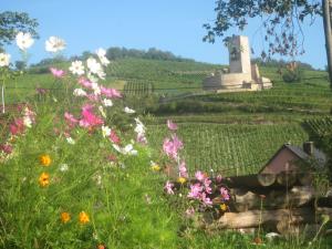 KatzenthalにあるEcologis du Vignobleの風車を背景にした花畑