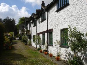 uma fila de casas brancas com vasos de plantas em The Clochfaen em Llangurig