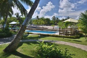 a palm tree next to a swimming pool at Ylang hôtel in Ambondrona