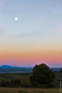 Gallery image of Eco-Lodge en la Reserva Privada Campanarios de Azaba - Proyecto de Conservación in Espeja