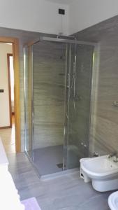 a bathroom with a shower with a toilet and a sink at Villa Ginestra in Molveno