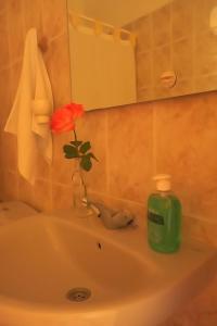 Koupelna v ubytování Apartamentos Nayara + 37 fotografií