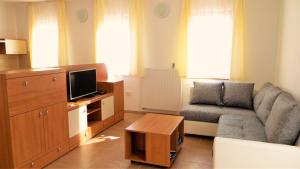 a living room with a couch and a tv at Holiday House Kanalec in Drežnica