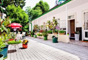Zahrada ubytování Pension Margit