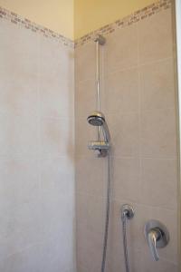 a shower with a shower head in a bathroom at B&B Raffiori in Assisi