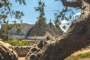 una vista de un edificio desde detrás de un árbol en Borgo Sardedda Suites, en Locorotondo