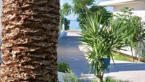 Galeriebild der Unterkunft Aphrodite Samos Suites in Marathokampos