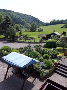 Pension Haus Liesertal في Üdersdorf: حديقة عليها غطاء ازرق على طاولة