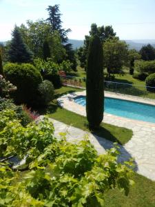 a garden with a swimming pool and a tree at La Grange in Cruis