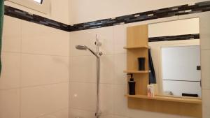 a shower stall in a bathroom with a mirror at Apartment im Zentrum Steyr, 2 Betten BESTROOMS eU in Steyr