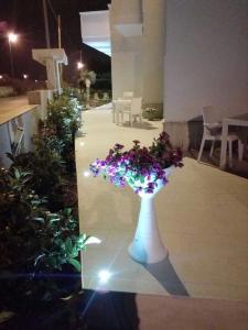 Fotografie z fotogalerie ubytování Bed Happy v destinaci Porto Cesareo