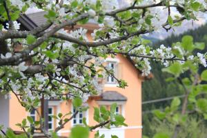 A garden outside Villa Alba