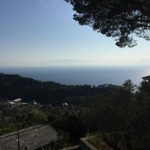 Gallery image of B&B Villa Orchidea in Camogli