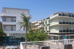 a palm tree in front of a tall building at Hotel Bellavista-Olympic in Bellaria-Igea Marina