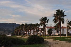 a street with palm trees and a white house at Casa Azul in Bolonia