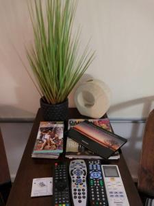 a table with three remote controls and a potted plant at Bali Studio in Darwin