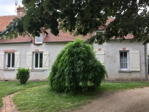 Κήπος έξω από το studio au calme proche de Chambord