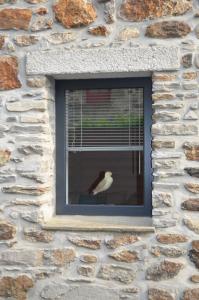 un oiseau assis dans une fenêtre d'un bâtiment en pierre dans l'établissement Maison Coetquen, à Saint-Malo