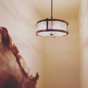 une lampe de verre suspendue au plafond dans une pièce dans l'établissement Rustic Elegance, à Talkeetna