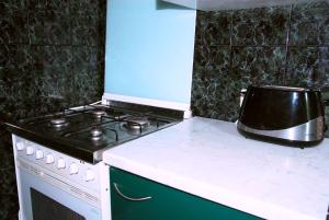 Kuchyň nebo kuchyňský kout v ubytování Maison Blanche Kyiv city center