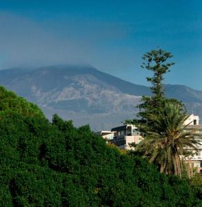 a mountain in the distance with a palm tree and buildings at Eh13 Luxury Accommodation in Catania