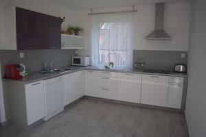 Fotografie z fotogalerie ubytování Apartment Mlýnská v Jeseníku