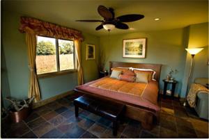 a bedroom with a bed and a ceiling fan at Pearlessence Vineyard Inn in Sebastopol