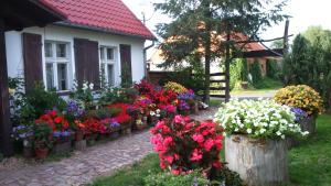 a garden of flowers in front of a house at Zajazd Bonanza in Jędrzychowice