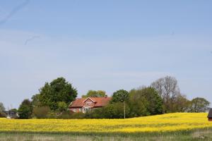 Příroda nedaleko bed and breakfast