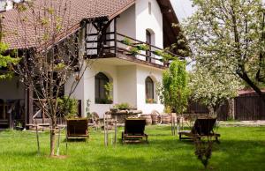 a group of chairs in the yard of a house at Casa Mosului - Transfăgărășan Bed & Breakfast in Cîrţişoara