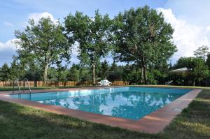 a swimming pool in a yard with trees at Agriturismo Testalepre in Greve in Chianti
