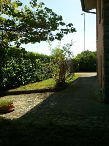 Zahrada ubytování B&B MOLIN DEL TOPO