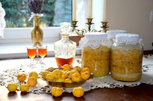 Galeriebild der Unterkunft Zielone Zacisze in Murzynowo Kościelne + 109 Fotos