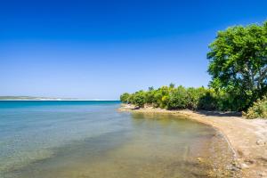 a beach with trees and the ocean on a clear day at Villa Feliks in Ljubač