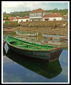 Príroda v okolí hostela